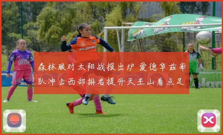 森林狼对太阳战报出炉 爱德华兹率队冲击西部排名提升天王山看点足