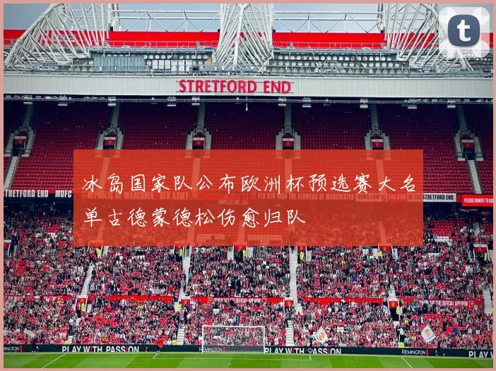 冰岛国家队公布欧洲杯预选赛大名单古德蒙德松伤愈归队