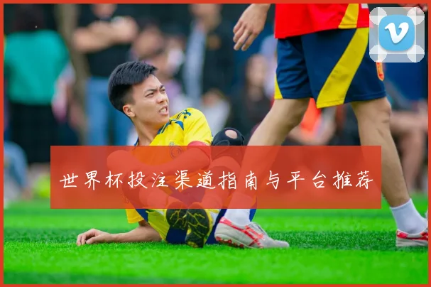 世界杯投注渠道指南与平台推荐